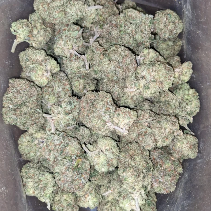 Tony's Pink Kush