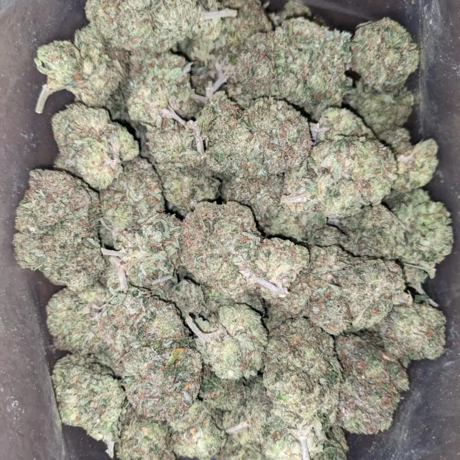 Alternative view of Tony's Pink Kush