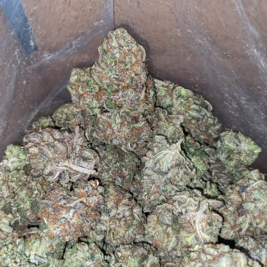 Alternative view of Tony's Tuna Kush