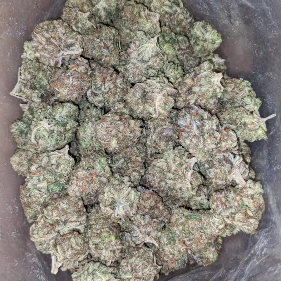 Tony's Tuna Kush - Image 6