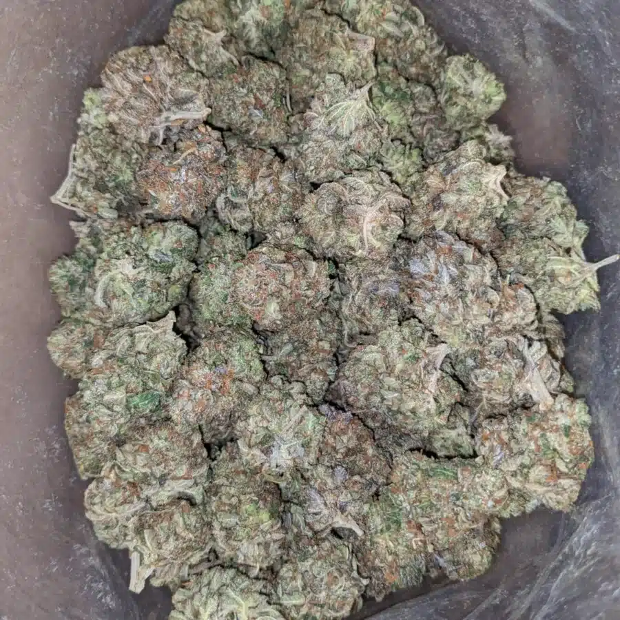 Tony's Tuna Kush