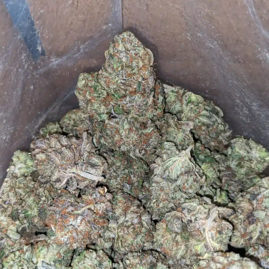 Tony's Tuna Kush - Image 5