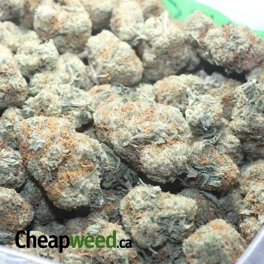 WEDDING PIE FLAT 1 I $45 Oz - Wedding Pie