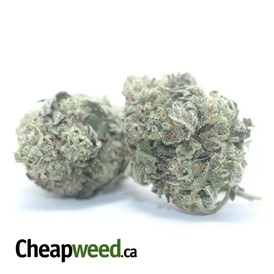 Alternative view of White Berry