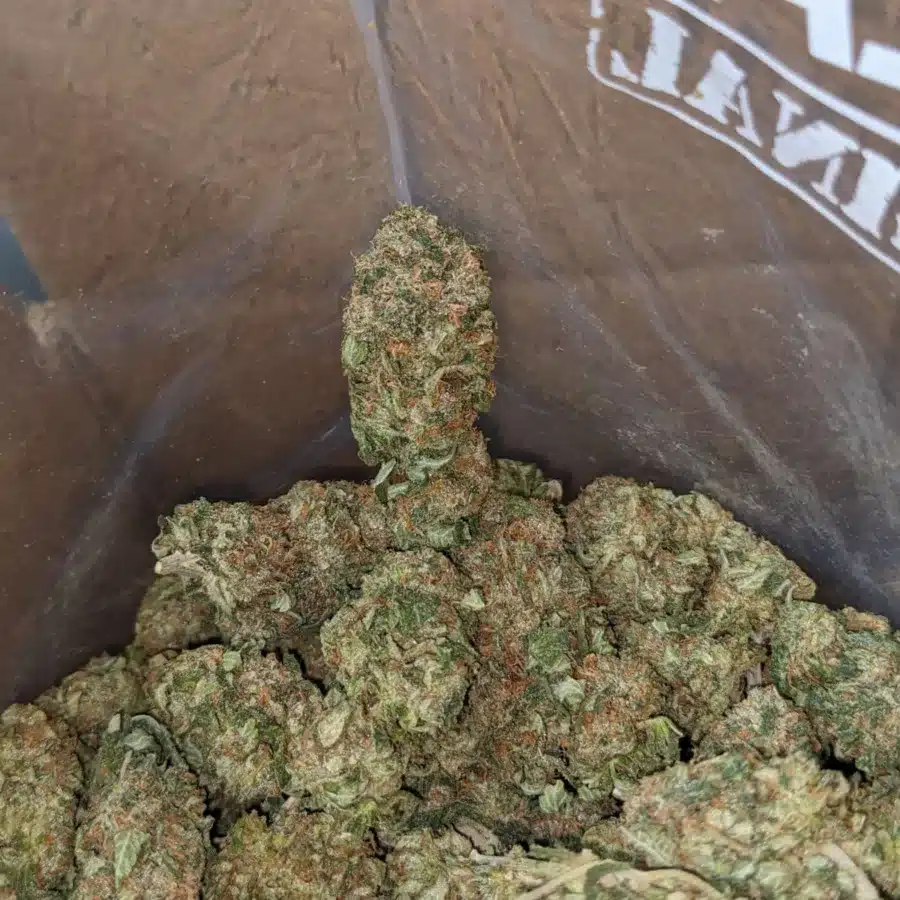 Alternative view of Tony's Death Bubba