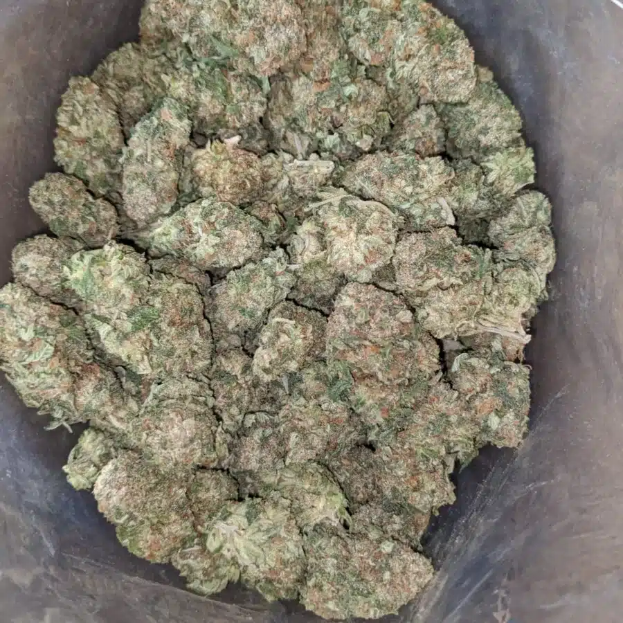 Tony's Death Bubba