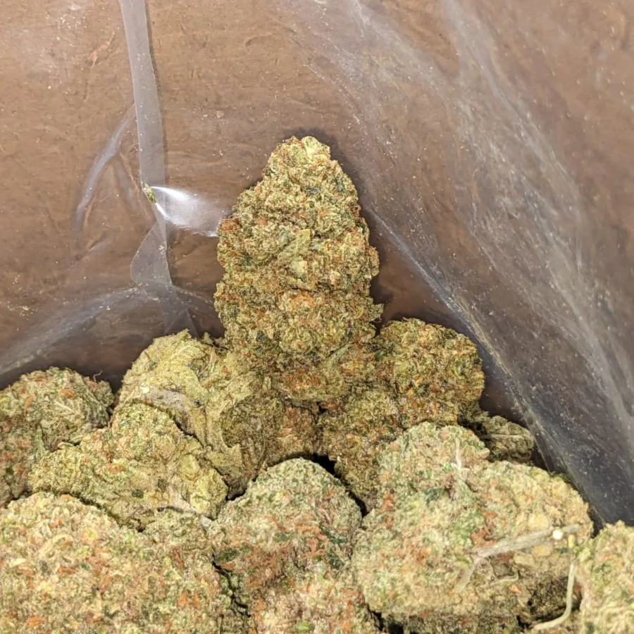 $45oz Cougar Piss - Image 5