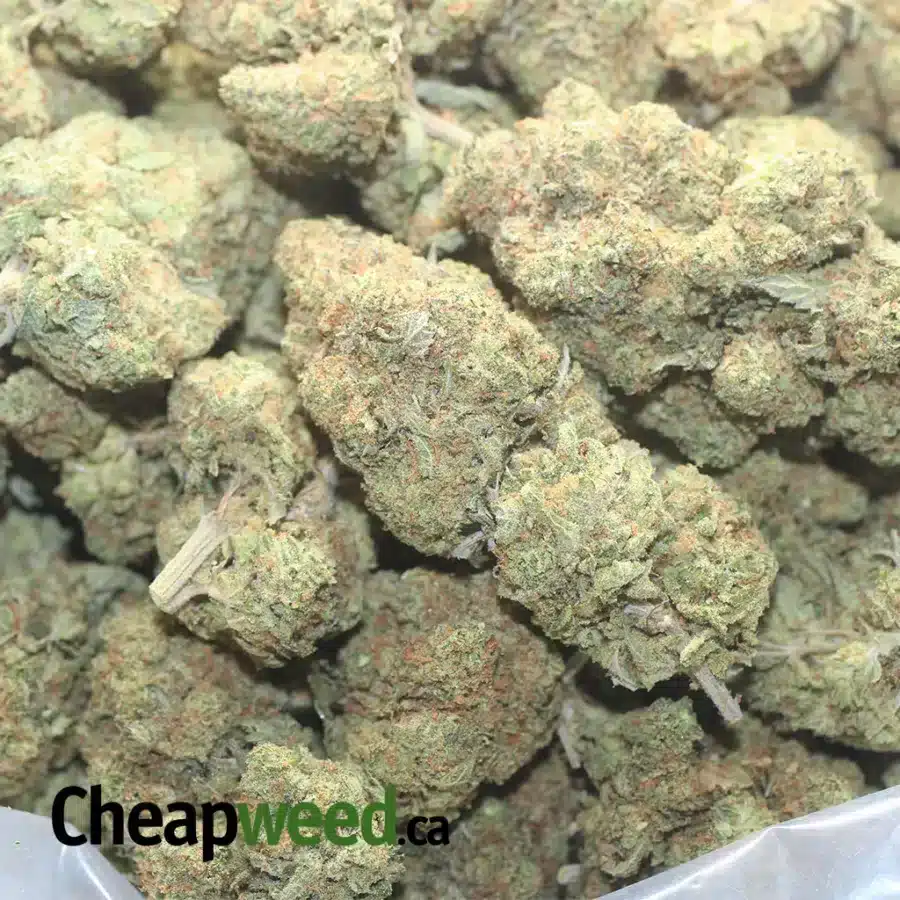 Agent Orange - Image 3