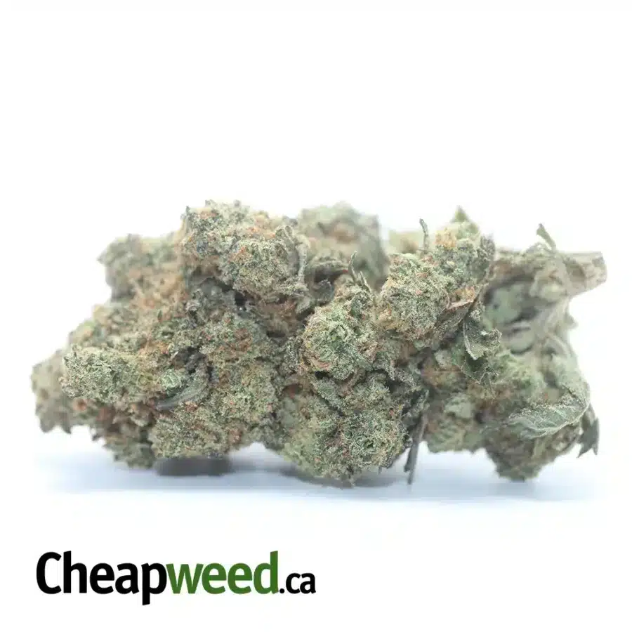 Agent Orange