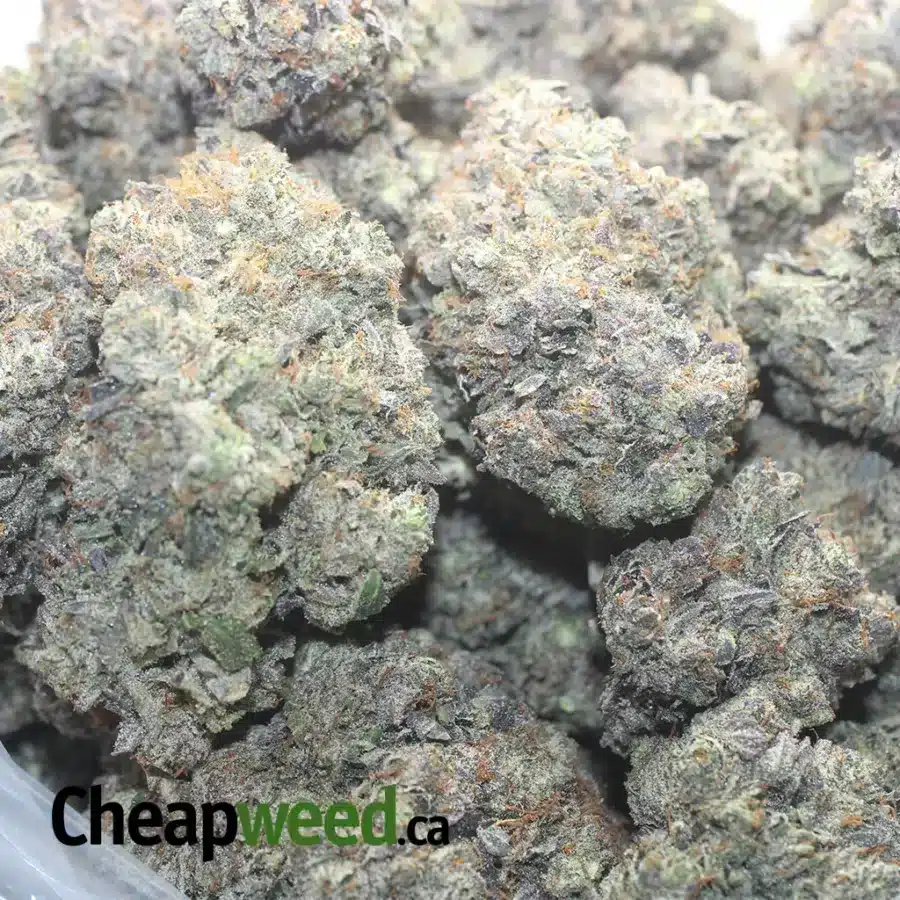 Astropink AAAA - Image 3
