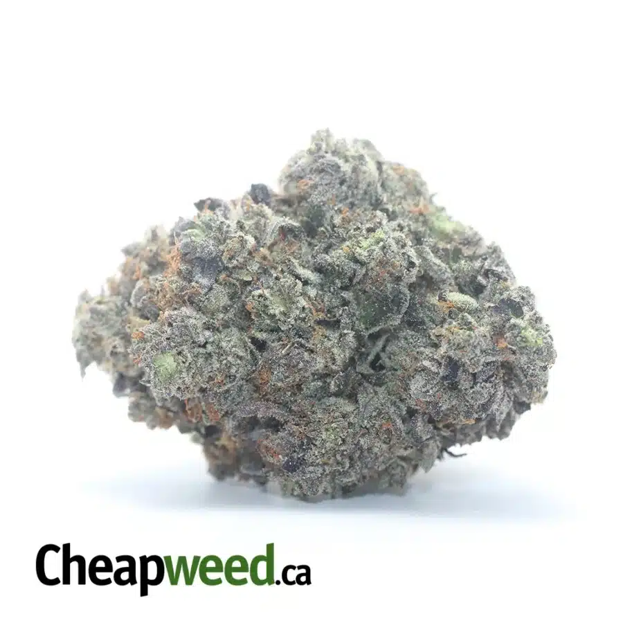Astropink AAAA