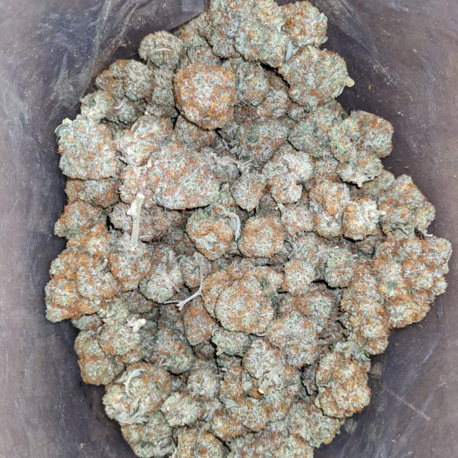 Alternative view of Agent Orange