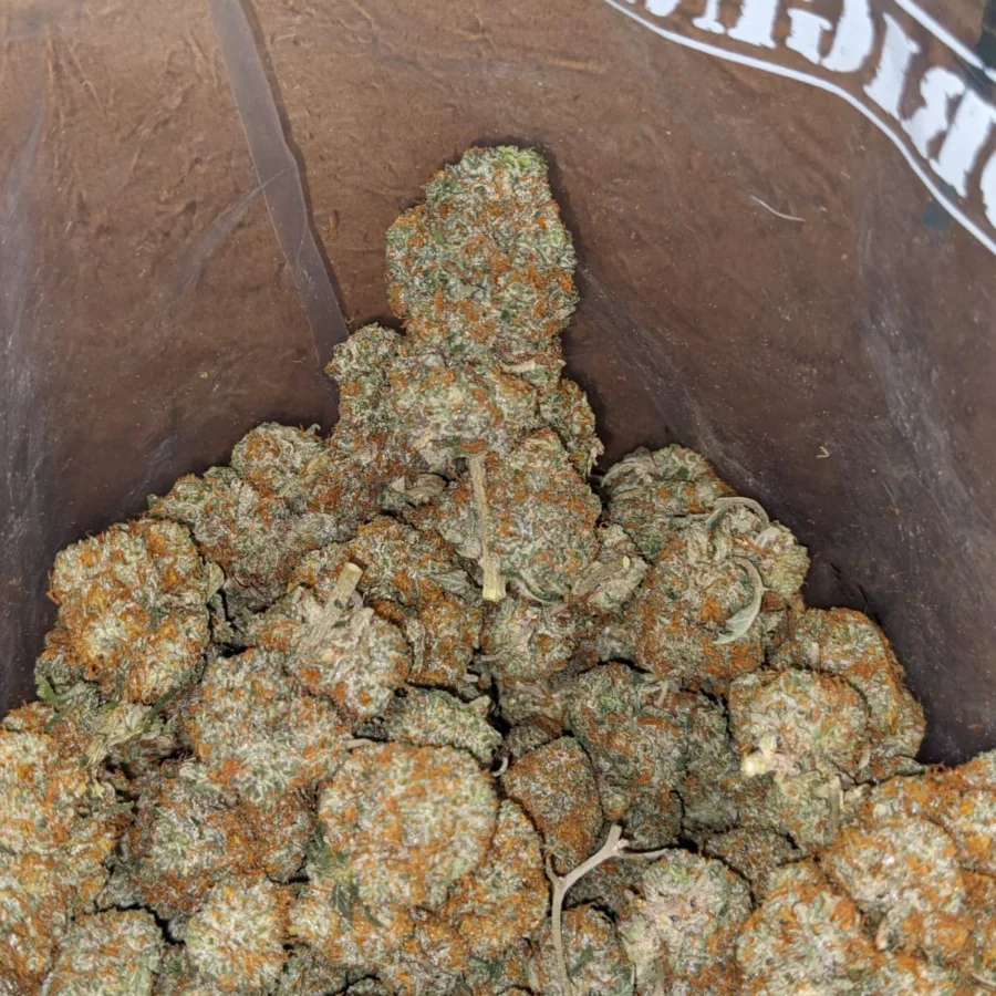 Agent Orange - Image 5