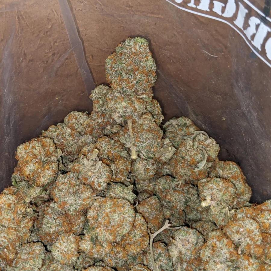 Agent Orange - Image 4