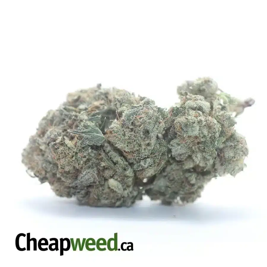 Black Cherry Pie