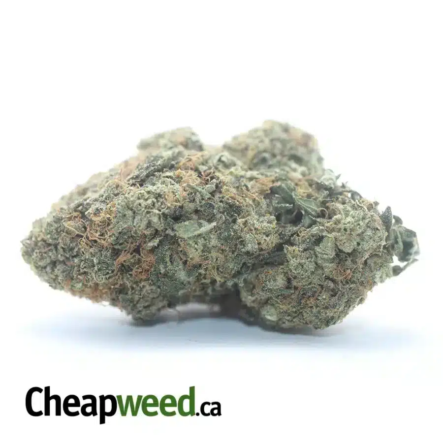 Bubba Wreck