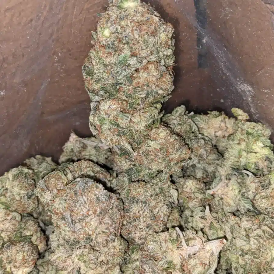 Black Cherry Pie 2 I Black Cherry Pie