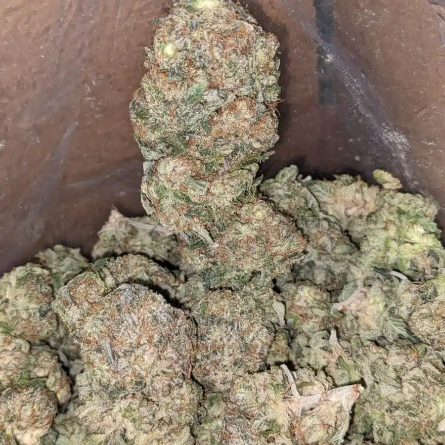Black Cherry Pie 3 I Black Cherry Pie