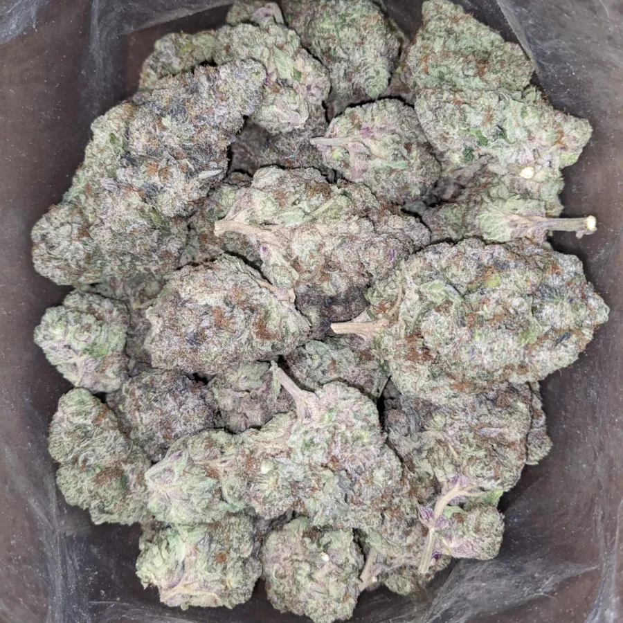 Blueberry YumYum