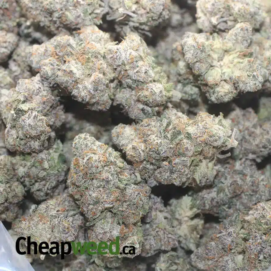 Candyland - Image 3
