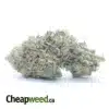 Cookie Breath