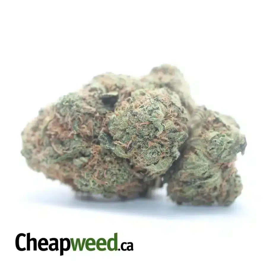 Cookie Wreck