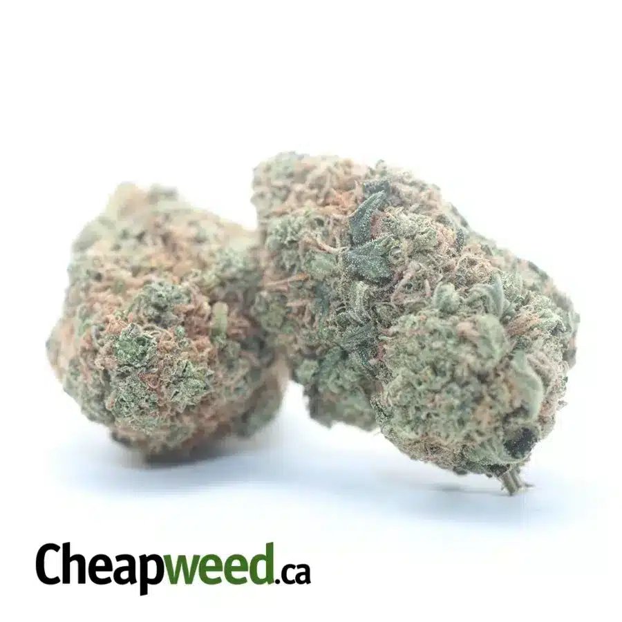 Alternative view of Cookie Wreck