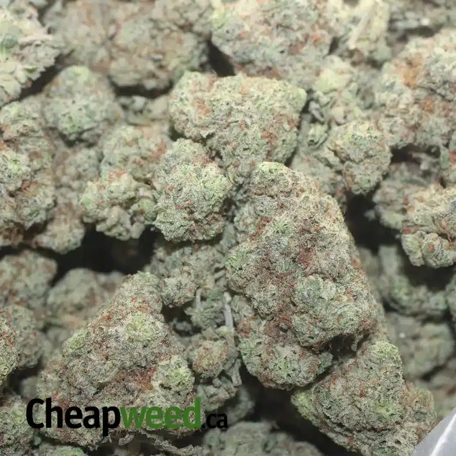 COOKIES AND CREAM 1 I Cookies N' Cream