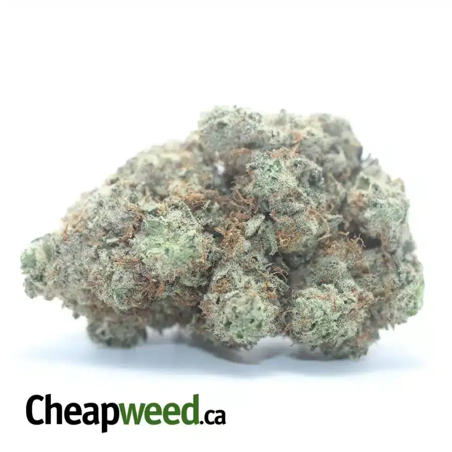 Cookies N' Cream