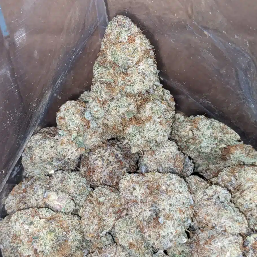 Cap Junky 1 I Cap Junky