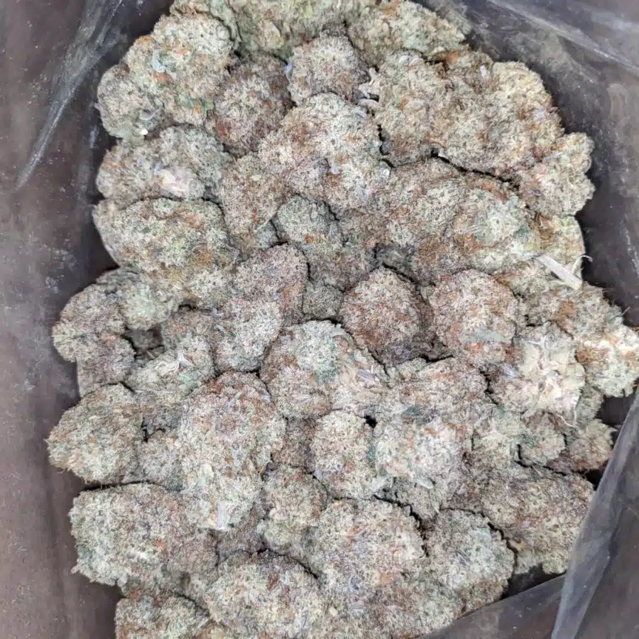 Cap Junky 3 I Cap Junky