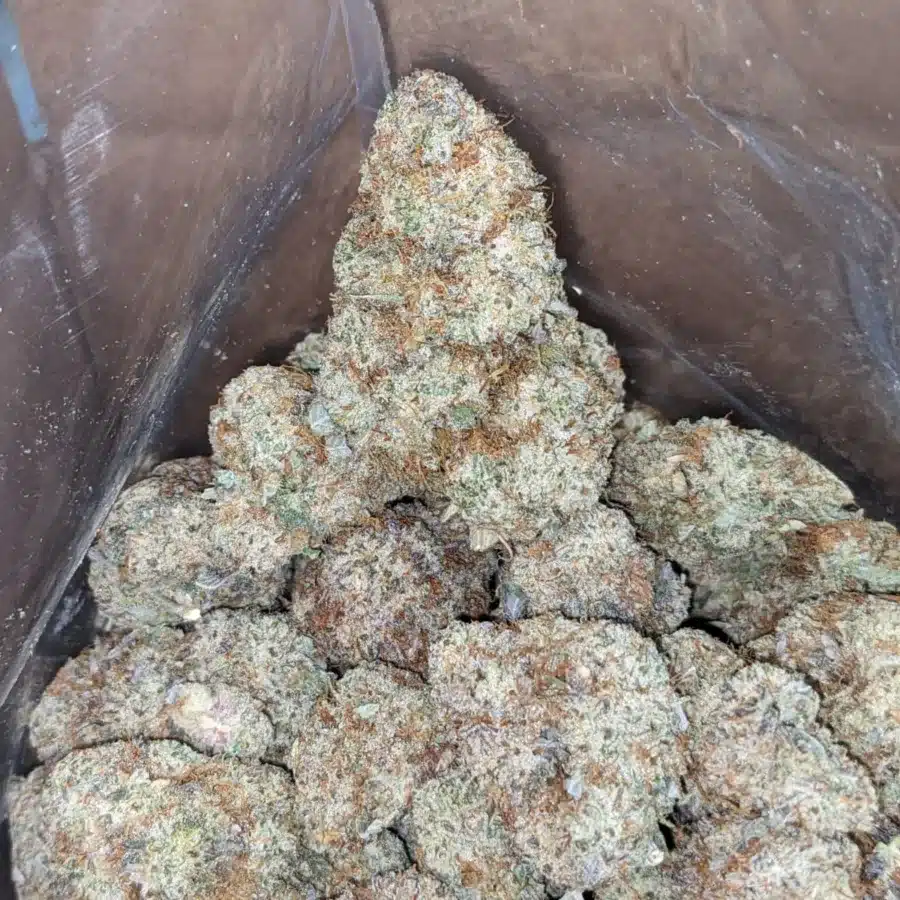 Cap Junky 4 I Cap Junky