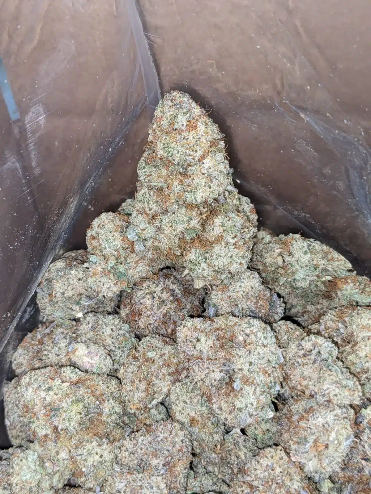 Cap Junky - Image 4