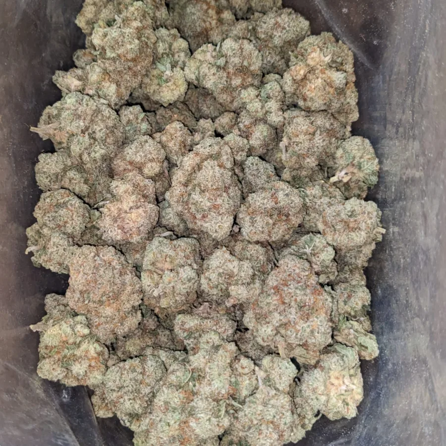 Cookies And Cream