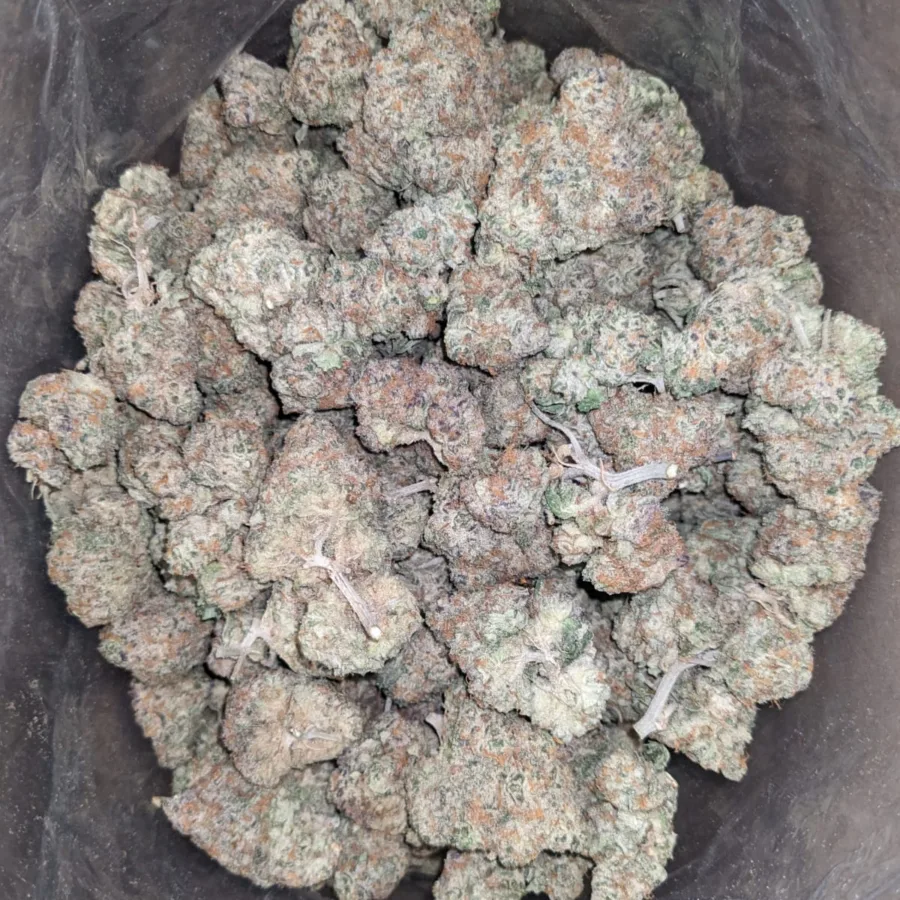 Frosty Flakes - Image 4