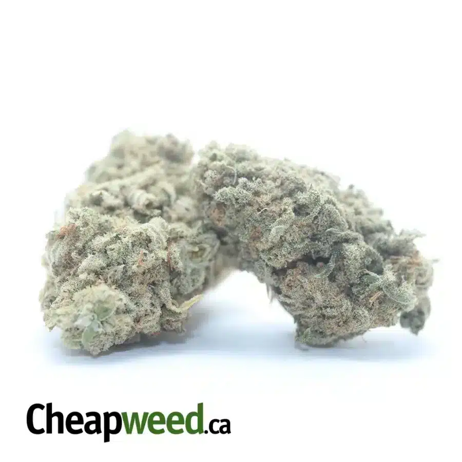 Alternative view of $44oz Girl Scout Cookies