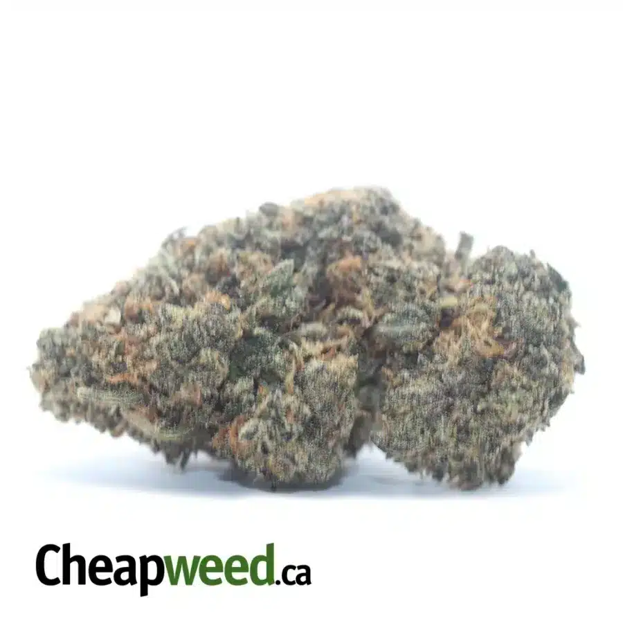 Granddaddy Purple