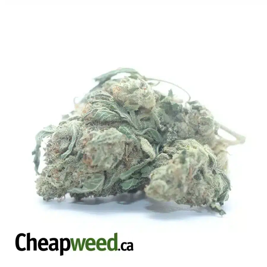 $32oz Guava Cake