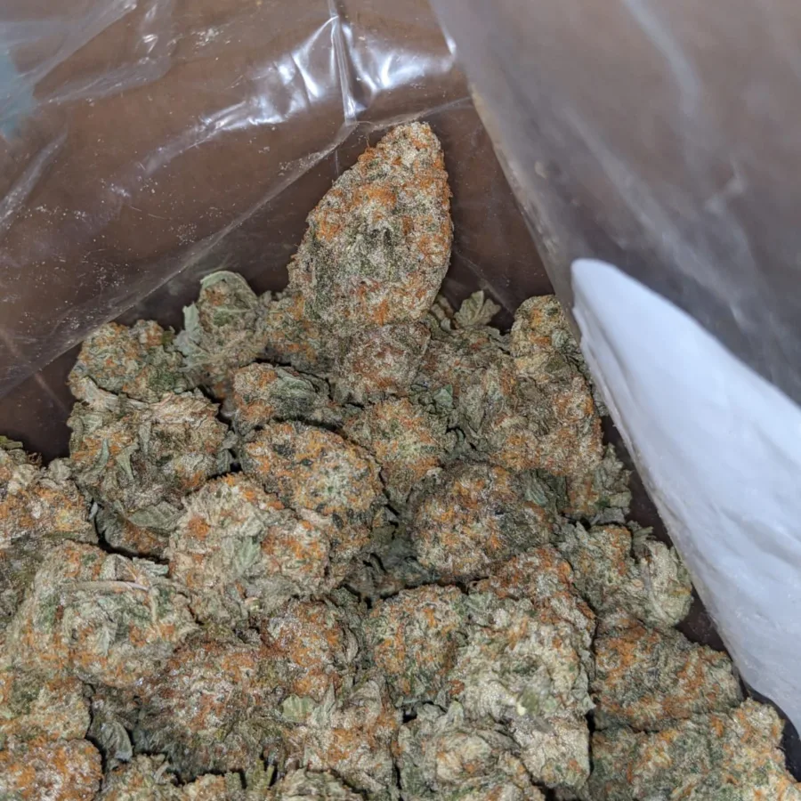 Garlic Breath - Image 6