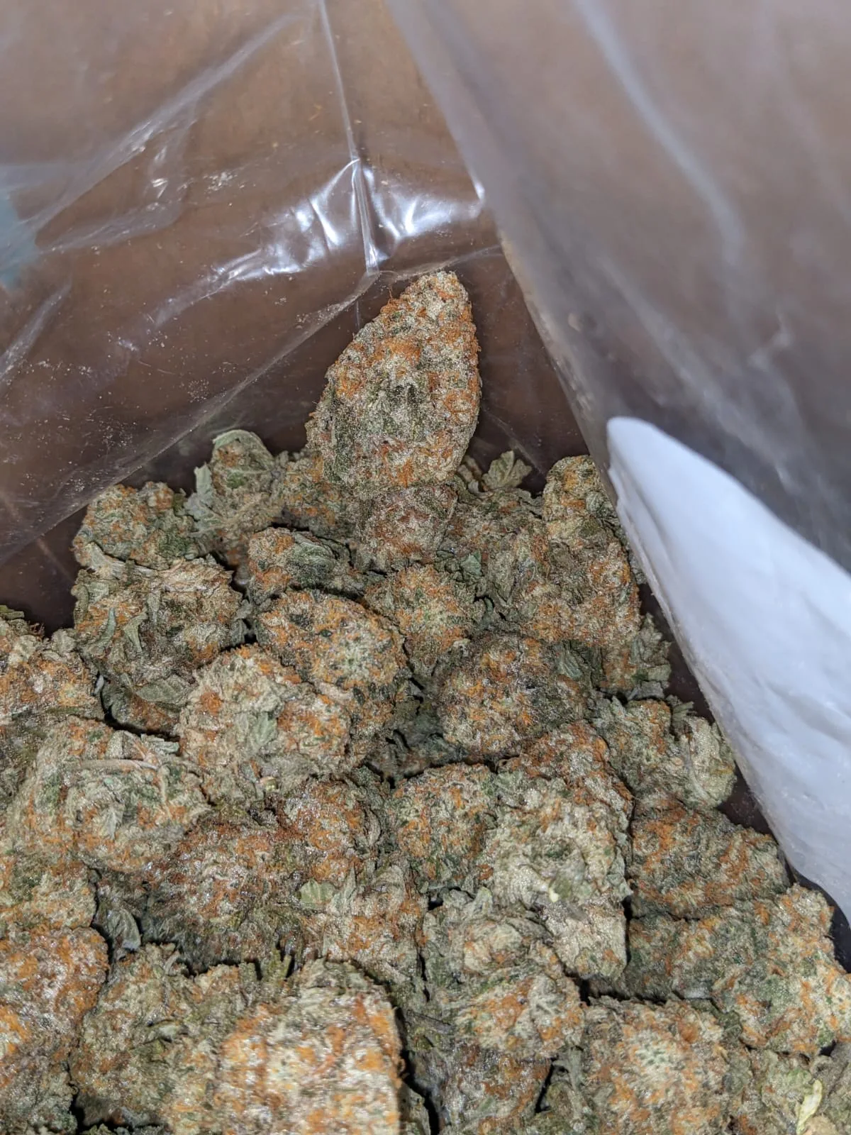 Garlic Breath - Image 6