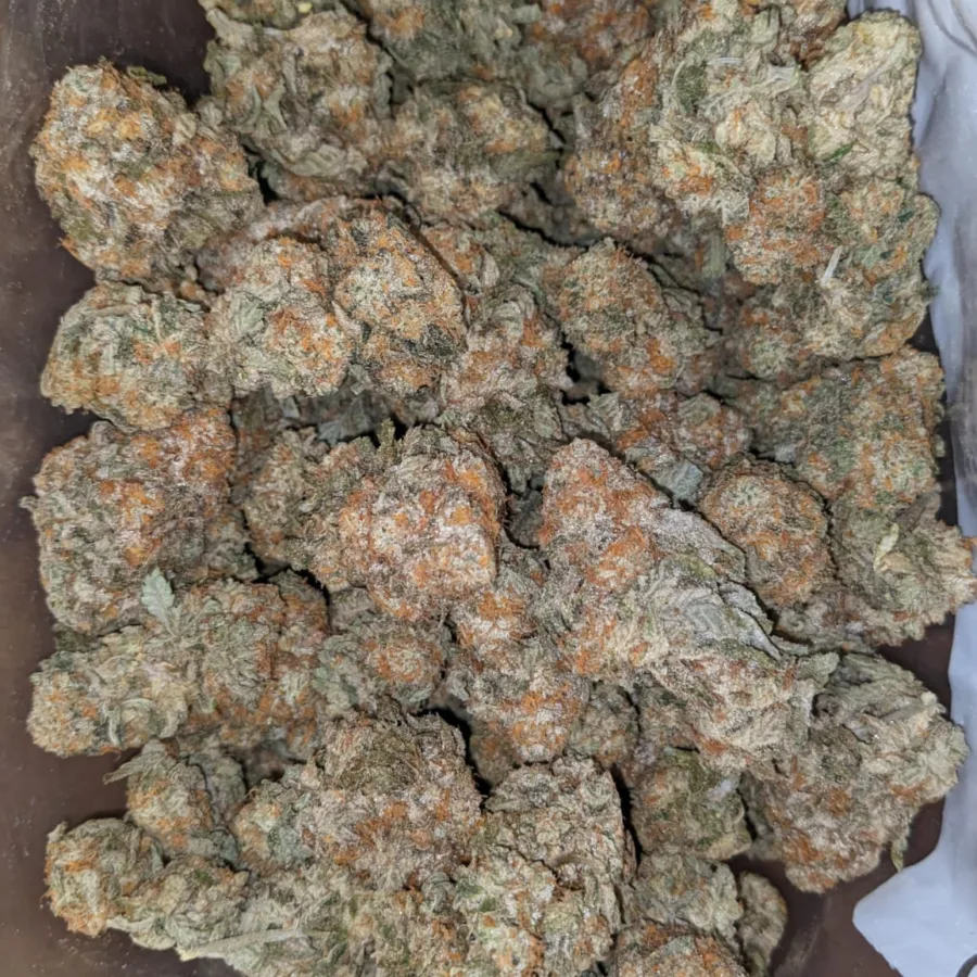 Garlic Breath