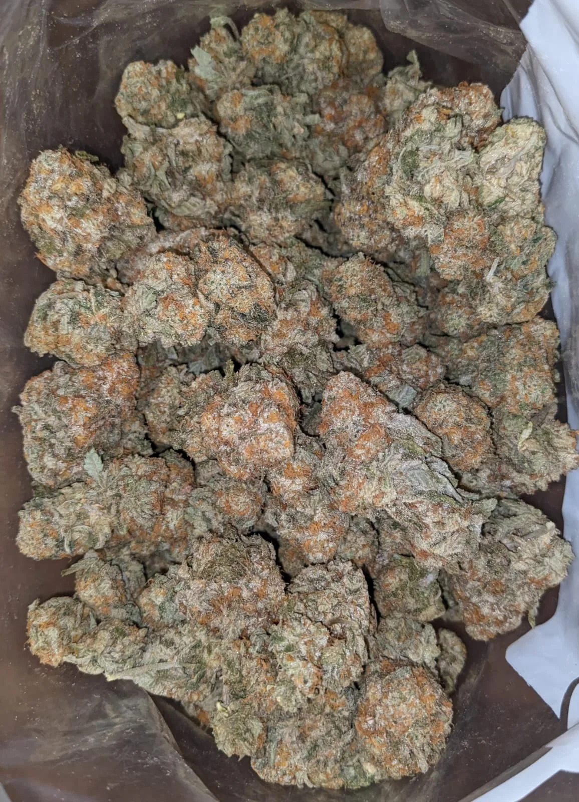 Garlic Breath - Image 5