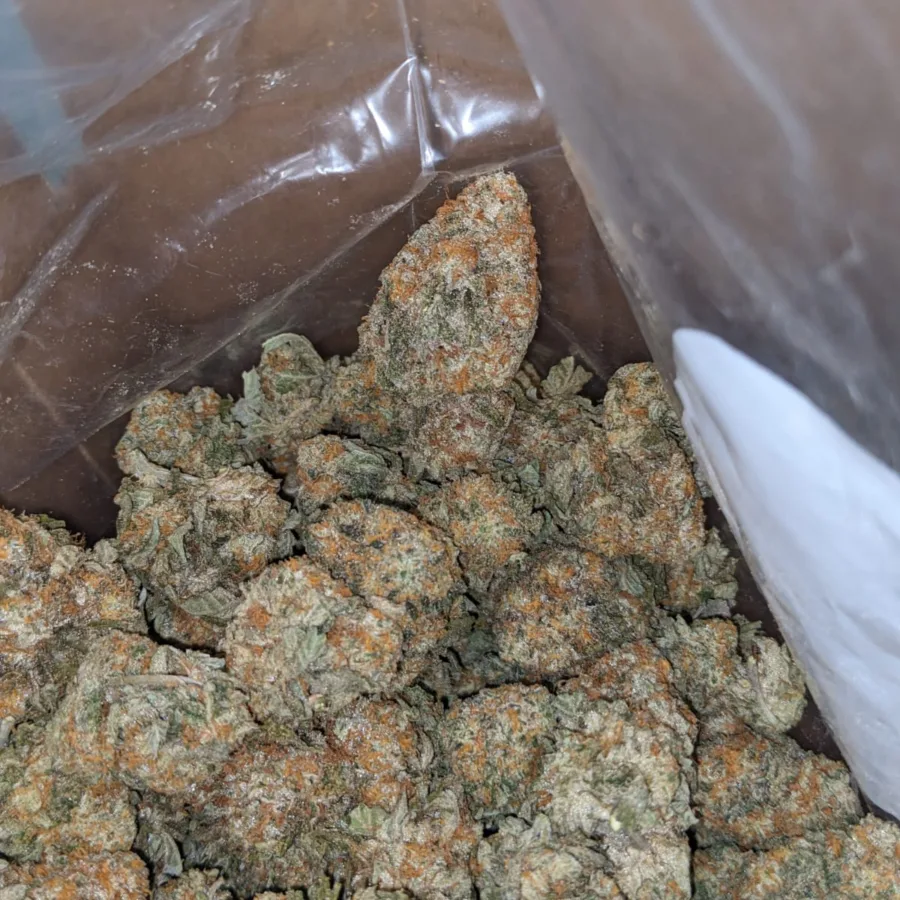 Garlic Breath - Image 7