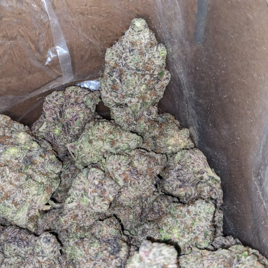 Granddaddy Purple - Image 7