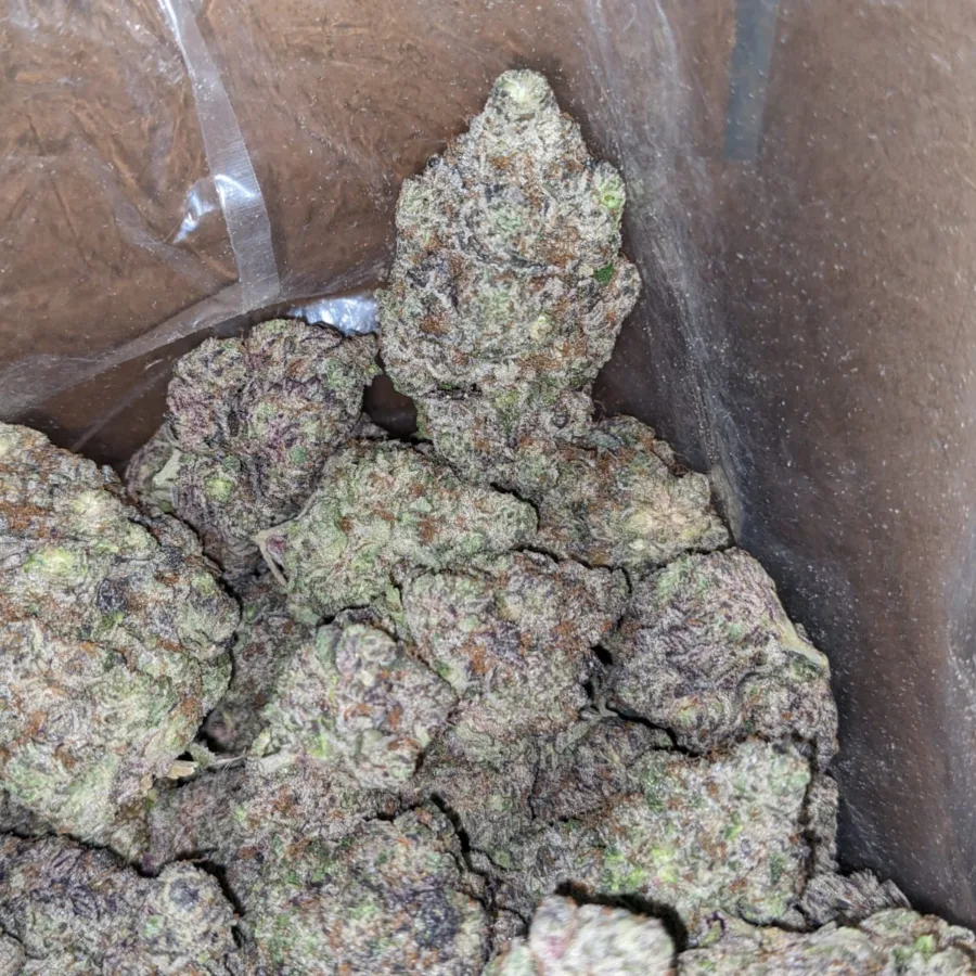 Granddaddy Purple - Image 6