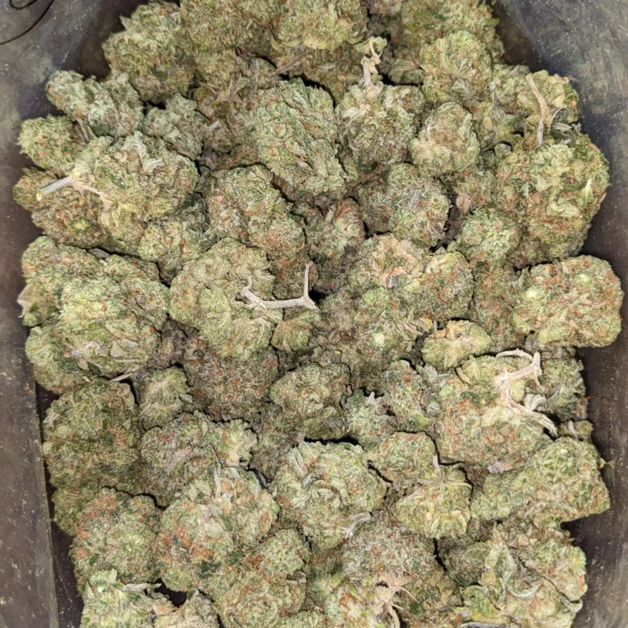 Alternative view of Green Goblin