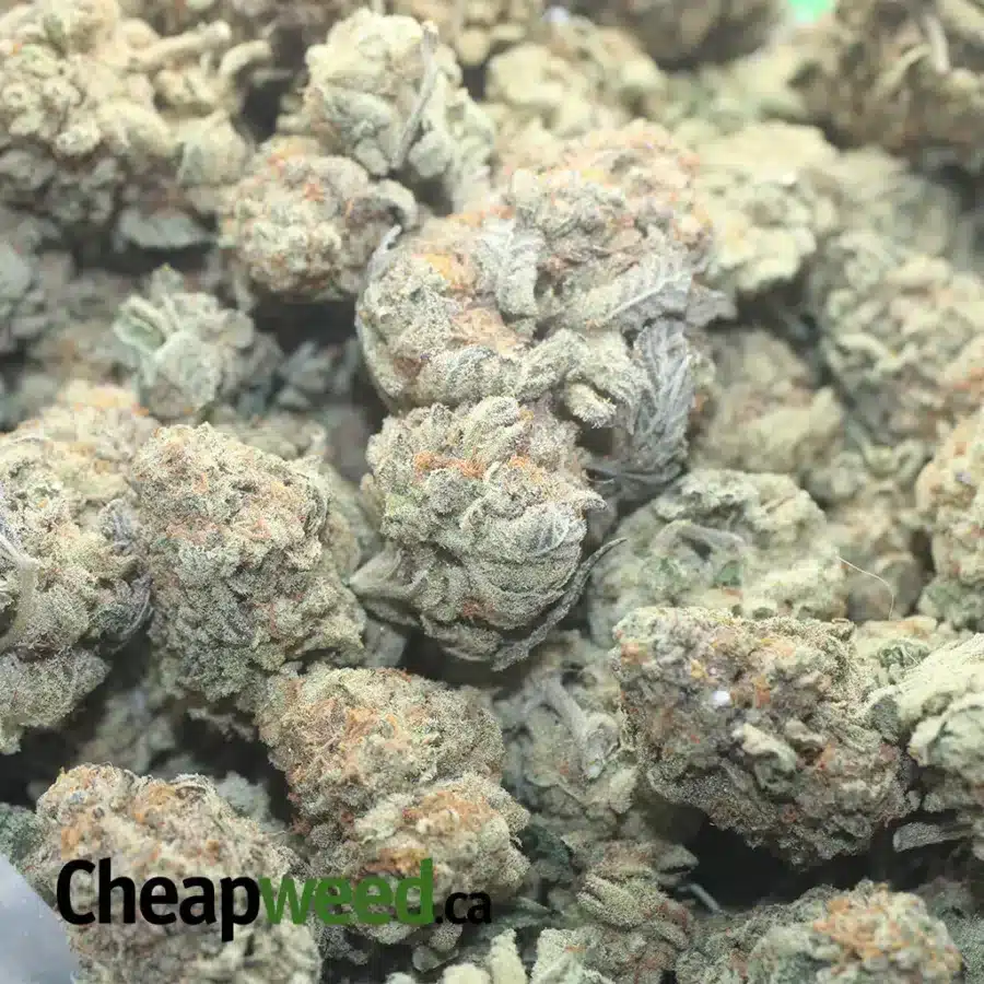 $ 52 Oz - Ice wine - Image 3