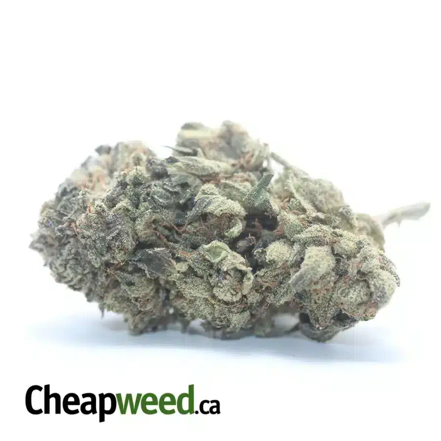 Jedi Kush