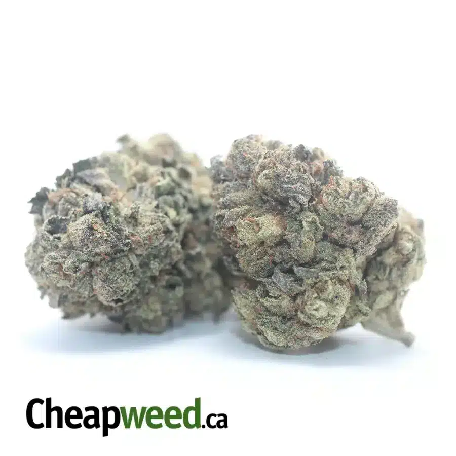 Alternative view of Jedi Kush