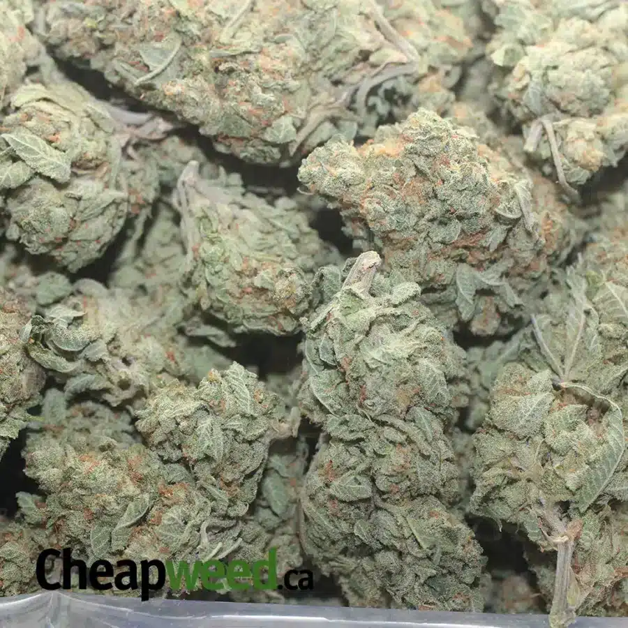 $ 47 Oz - Juicy J - Image 3